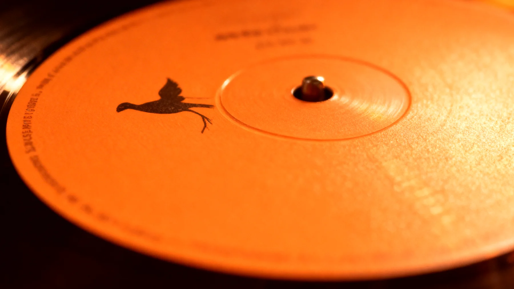 Forbidden Fruit2026-02-13T18:49:19.836Z"